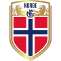 Norway_national_football_team Collection – Brazil World Cup Jerseys and T-Shirts