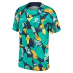 australia national team nike 202223 pre-match top – greenyellow Collection – Brazil World Cup Jerseys and T-Shirts