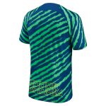 brazil national team nike 202223 pre-match top – bluegreen Collection – Brazil World Cup Jerseys and T-Shirts
