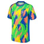 brazil women8217s national team nike 2025 academy pro pre-match performance top – blue Collection – Brazil World Cup Jerseys and T-Shirts