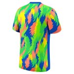 brazil women8217s national team nike 2025 academy pro pre-match performance top – blue Collection – Brazil World Cup Jerseys and T-Shirts