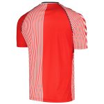 denmark national team 1986 home replica jersey – red Collection – Brazil World Cup Jerseys and T-Shirts