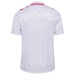 denmark national team 2024 away replica jersey – white Collection – Brazil World Cup Jerseys and T-Shirts