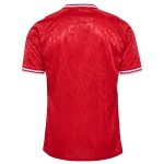 denmark national team 2024 home replica jersey – red Collection – Brazil World Cup Jerseys and T-Shirts