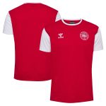 denmark national team block t-shirt – red Collection – Brazil World Cup Jerseys and T-Shirts