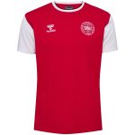 denmark national team block t-shirt – red Collection – Brazil World Cup Jerseys and T-Shirts