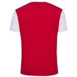 denmark national team block t-shirt – red Collection – Brazil World Cup Jerseys and T-Shirts