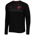 denmark national team fan raglan long sleeve t-shirt – black Collection – Brazil World Cup Jerseys and T-Shirts