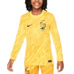 france national team nike youth 2024 goalkeeper replica stadium long sleeve jersey – yellow Collection – Brazil World Cup Jerseys and T-Shirts