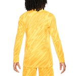 france national team nike youth 2024 goalkeeper replica stadium long sleeve jersey – yellow Collection – Brazil World Cup Jerseys and T-Shirts