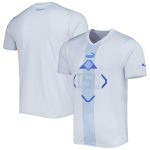 iceland national team puma 202223 away replica jersey – white Collection – Brazil World Cup Jerseys and T-Shirts