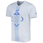 iceland national team puma 202223 away replica jersey – white Collection – Brazil World Cup Jerseys and T-Shirts