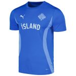 iceland national team puma 2024 pre-match jersey – blue Collection – Brazil World Cup Jerseys and T-Shirts