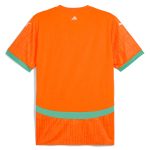 ivory coast national team puma 2025 home replica jersey – orange Collection – Brazil World Cup Jerseys and T-Shirts