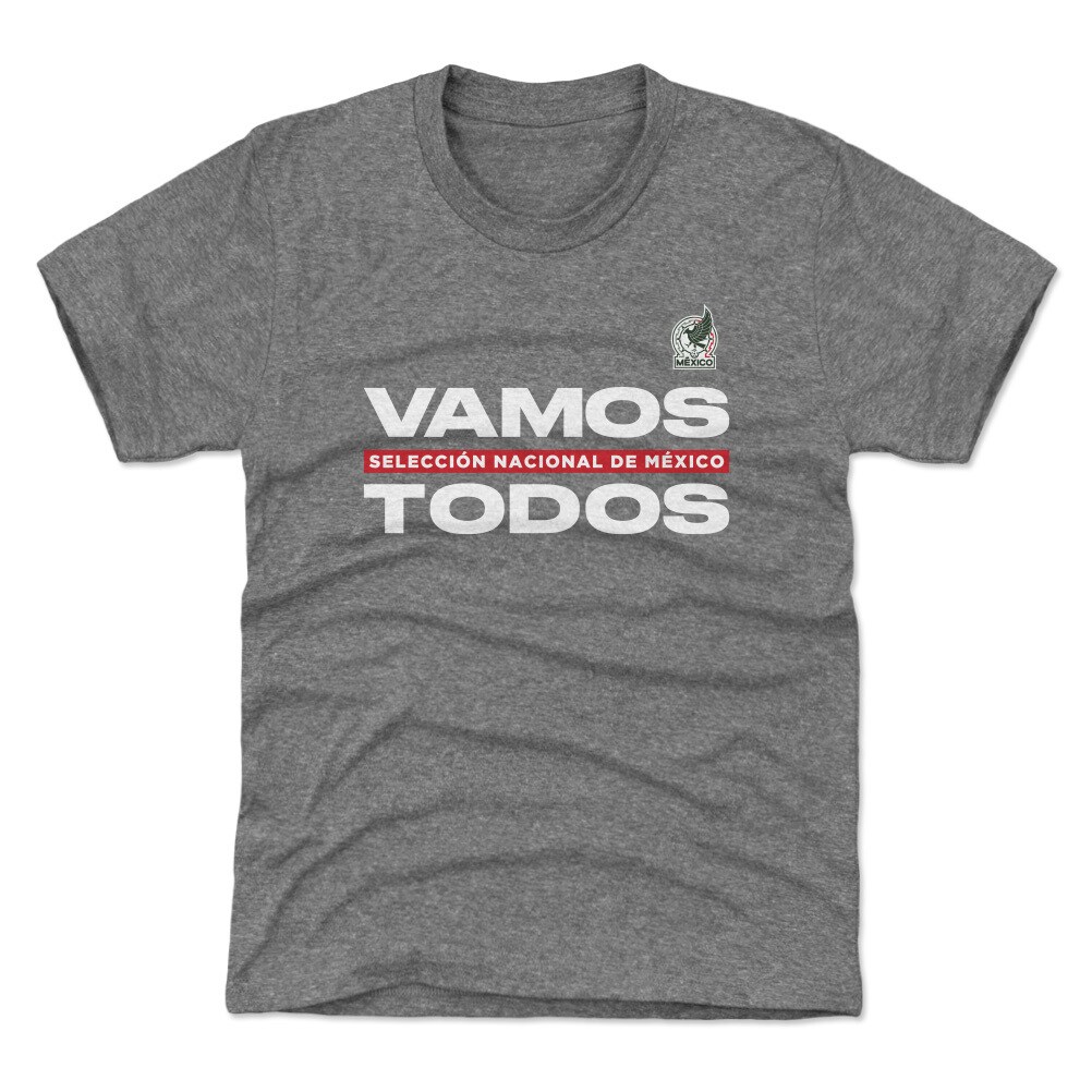 mexico national team 500 level youth vamos todos t-shirt – gray Collection – Brazil World Cup Jerseys and T-Shirts