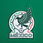 mexico national team adidas dna pullover sweatshirt – green Collection – Brazil World Cup Jerseys and T-Shirts