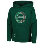 mexico national team adidas youth pullover hoodie – green Collection – Brazil World Cup Jerseys and T-Shirts