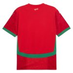 morocco national team puma 2025 home replica jersey – red Collection – Brazil World Cup Jerseys and T-Shirts