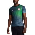 nigeria national team nike 2024 academy pro pre-match top – gray Collection – Brazil World Cup Jerseys and T-Shirts