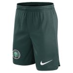 nigeria national team nike home performance stadium shorts – green Collection – Brazil World Cup Jerseys and T-Shirts