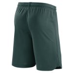 nigeria national team nike home performance stadium shorts – green Collection – Brazil World Cup Jerseys and T-Shirts