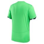 nigeria women8217s national team nike 2023 home stadium replica jersey – green Collection – Brazil World Cup Jerseys and T-Shirts