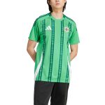 northern ireland national team adidas 2024 home replica jersey – green Collection – Brazil World Cup Jerseys and T-Shirts