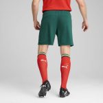 portugal national team puma 2025 home replica shorts – green Collection – Brazil World Cup Jerseys and T-Shirts