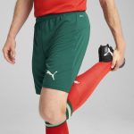 portugal national team puma 2025 home replica shorts – green Collection – Brazil World Cup Jerseys and T-Shirts