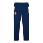 portugal national team puma 2025 training pants – blue Collection – Brazil World Cup Jerseys and T-Shirts