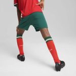 portugal national team puma youth replica shorts – green Collection – Brazil World Cup Jerseys and T-Shirts