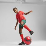 portugal national team puma youth replica shorts – green Collection – Brazil World Cup Jerseys and T-Shirts
