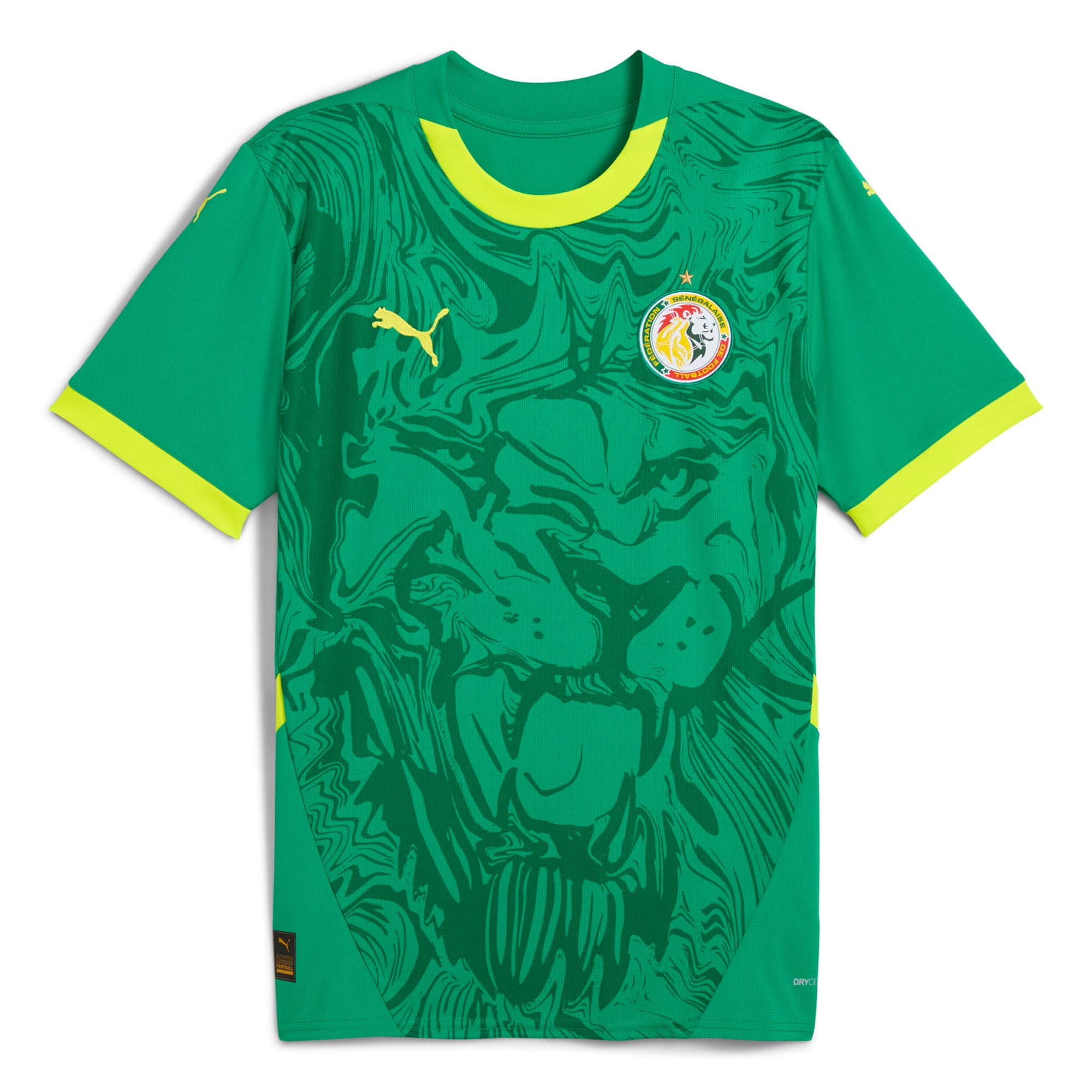 senegal national team puma 2025 away replica jersey – green Collection – Brazil World Cup Jerseys and T-Shirts
