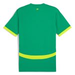 senegal national team puma 2025 away replica jersey – green Collection – Brazil World Cup Jerseys and T-Shirts