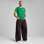 senegal national team puma 2025 away replica jersey – green Collection – Brazil World Cup Jerseys and T-Shirts