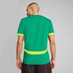 senegal national team puma 2025 away replica jersey – green Collection – Brazil World Cup Jerseys and T-Shirts